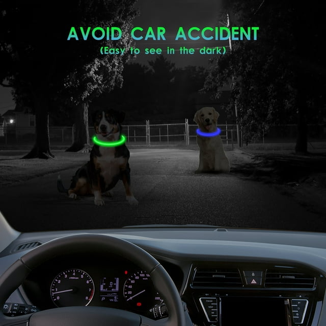 ZALALOVA 2 Pack LED Dog Collar Light up Dog Collars USB Rechargeable TPU Glow Safety Basic Dog Collars for Large Medium Small Dogs (Blue&Green)