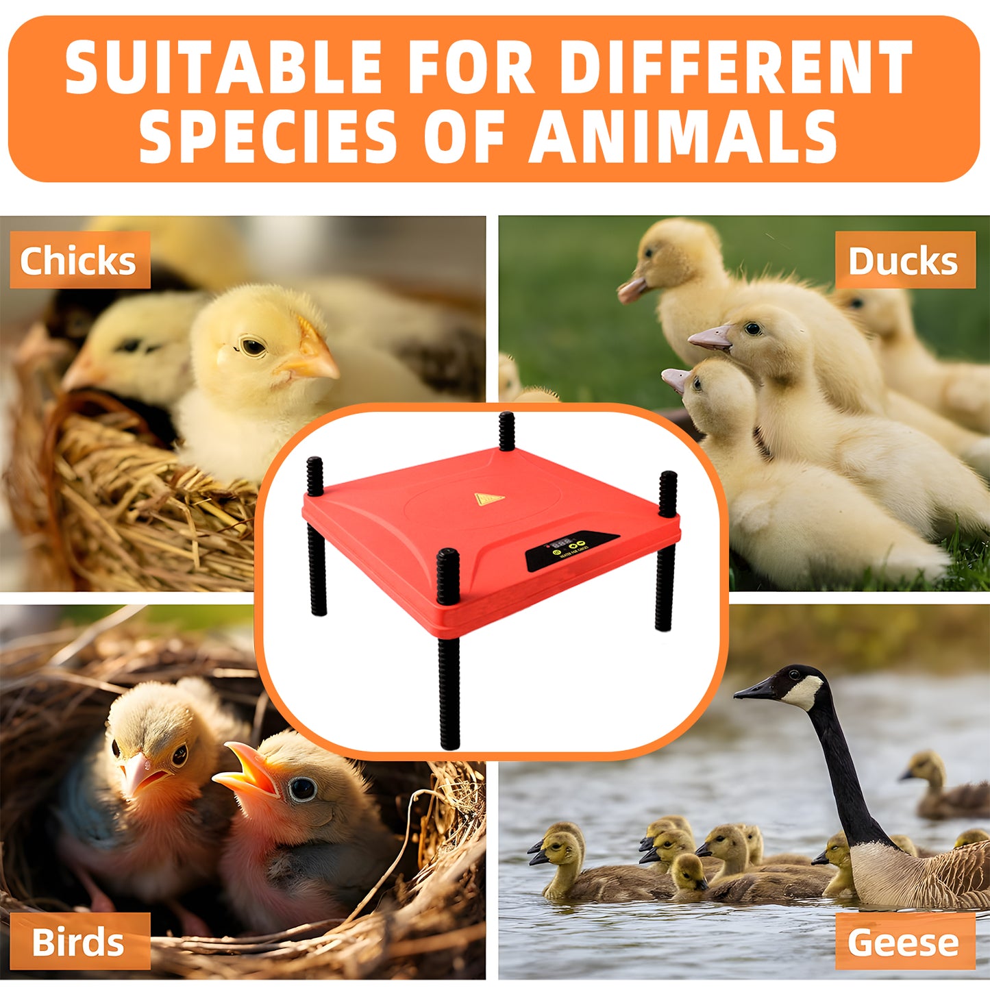 ZALALOVA 12" x 12" Brooder Plate for Chicks with Temperature Adjustable and Display, Chick Heater Plate Heating With Remote Control- Up to 30 Chicken