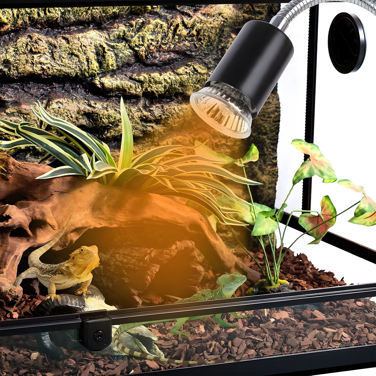 ZALALOVA Reptile Heat Lamp with Clamp,UVA UVB Light for Reptiles,Aquarium Turtle Tank Basking Lights with 360°Rotatable Timing & Dimming for Tortoise/Lizard/Bearded Dragon,2 Bulbs 75W