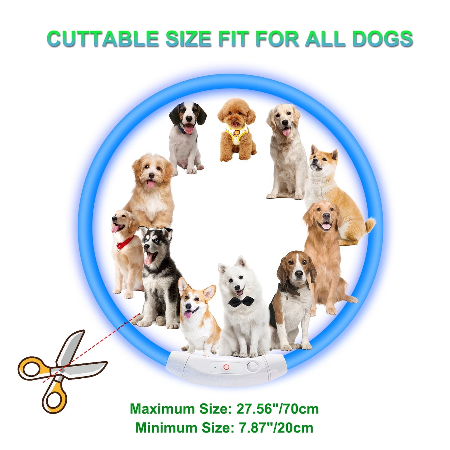 ZALALOVA 2 Pack LED Dog Collar Light up Dog Collars USB Rechargeable TPU Glow Safety Basic Dog Collars for Large Medium Small Dogs (Blue&Green)