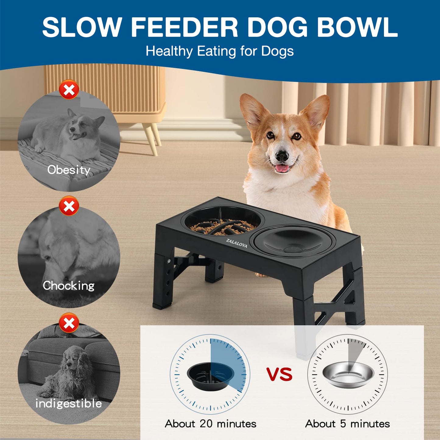ZALALOVA Elevated Dog Bowls,Slow Feeder Dog Bowls with No Spill Dog Water Bowl, Non-Slip Food and Water Bowls with Stand for Medium and Large Dogs(Black)