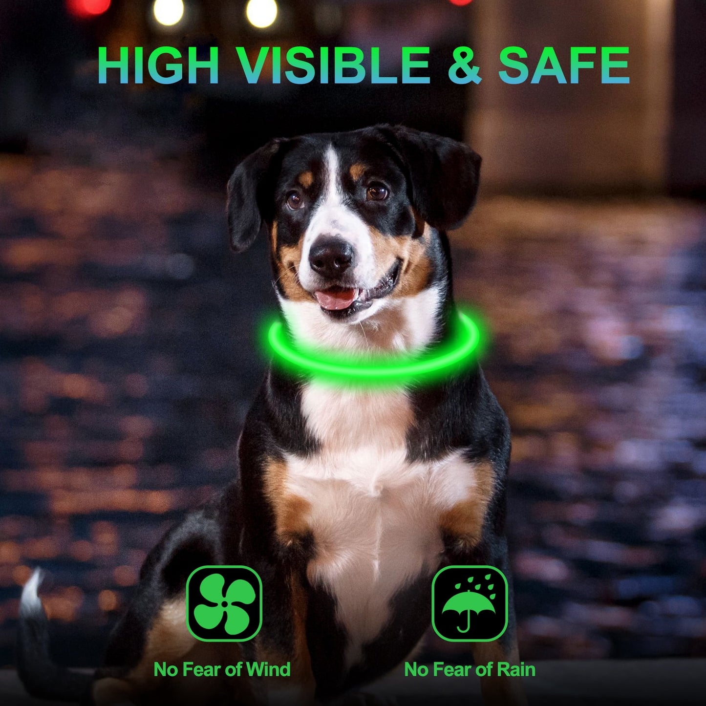ZALALOVA 2 Pack LED Dog Collar Light up Dog Collars USB Rechargeable TPU Glow Safety Basic Dog Collars for Large Medium Small Dogs (Blue&Green)
