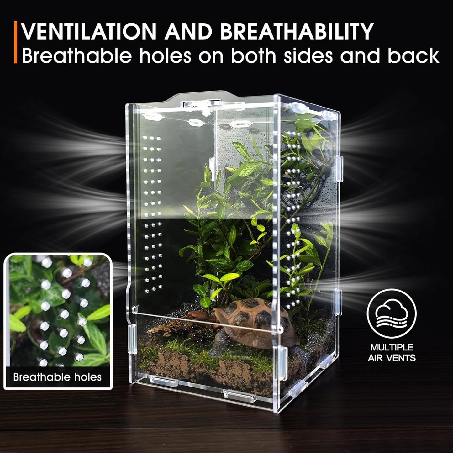 ZALALOVA Acrylic Jumping Spider Enclosure - Insect Terrarium for Spiders, Reptiles Habitat for Praying Mantis, Tarantula, Snail, Hermit Crab, Frog
