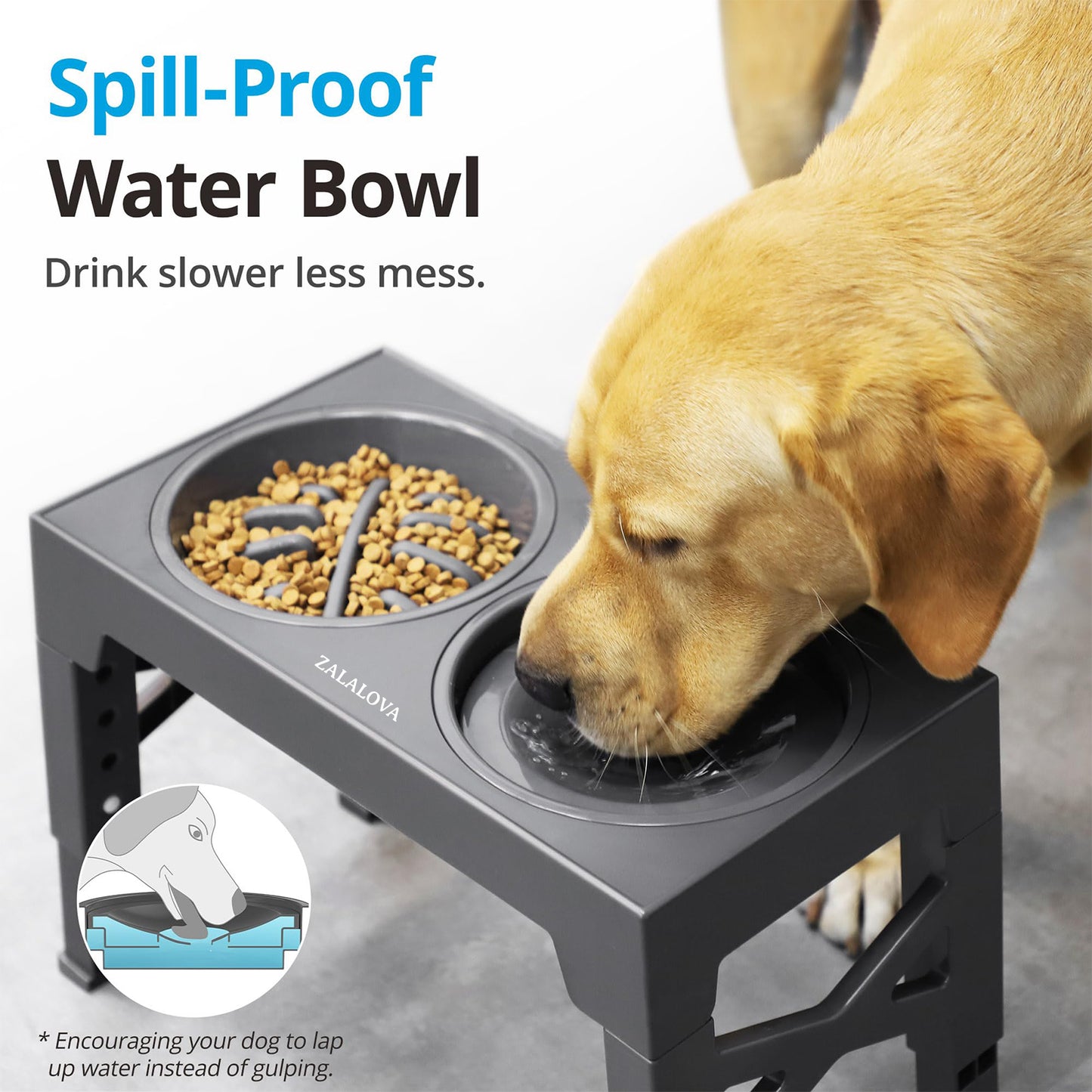 ZALALOVA Elevated Dog Bowls,Slow Feeder Bowls with No Spill Water Bowl, Non-Slip Food and Water Bowls with Stand for Medium and Large Dogs(Gray)