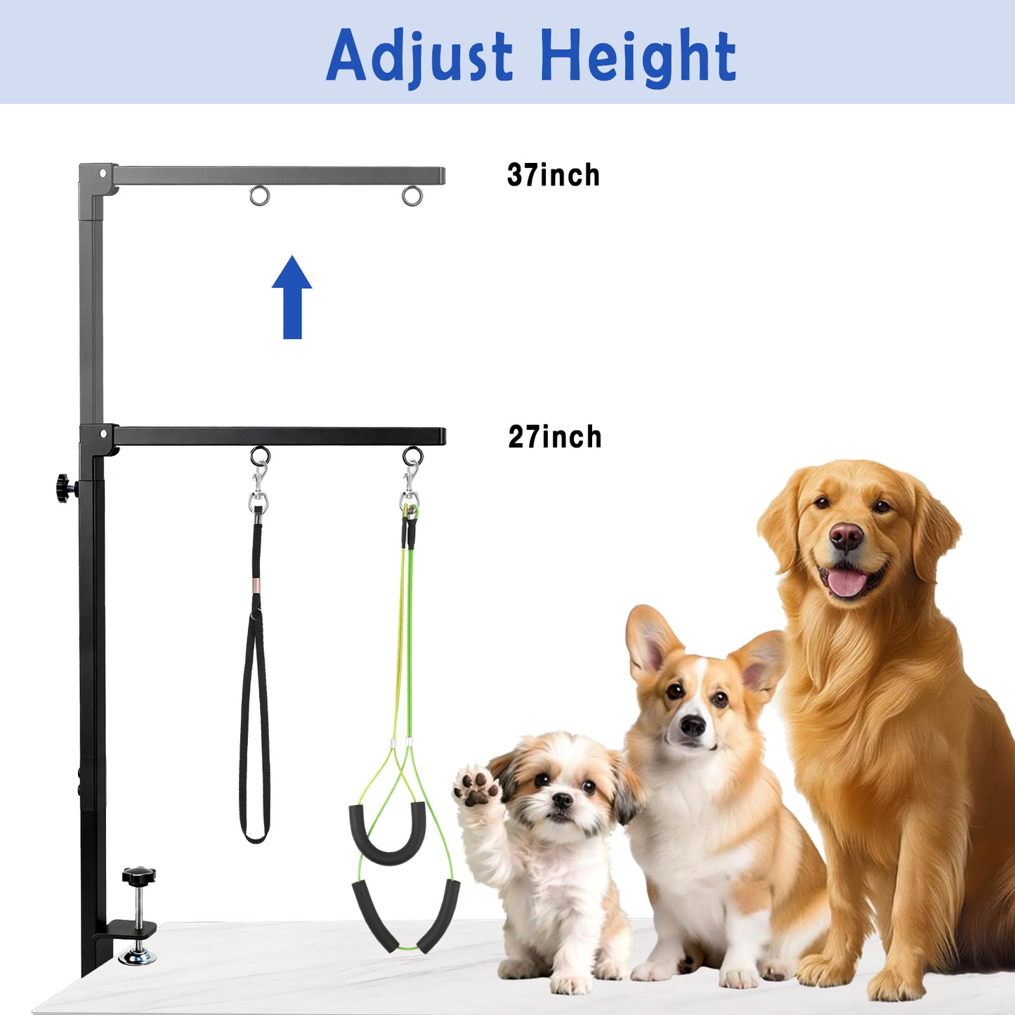 ZALALOVA Foldable Dog Grooming Arm with Clamp, 27-37" Adjustable Height, Dog Grooming Table and No-Sit Holder, Restraint for Small Medium Pet at Home or Salon