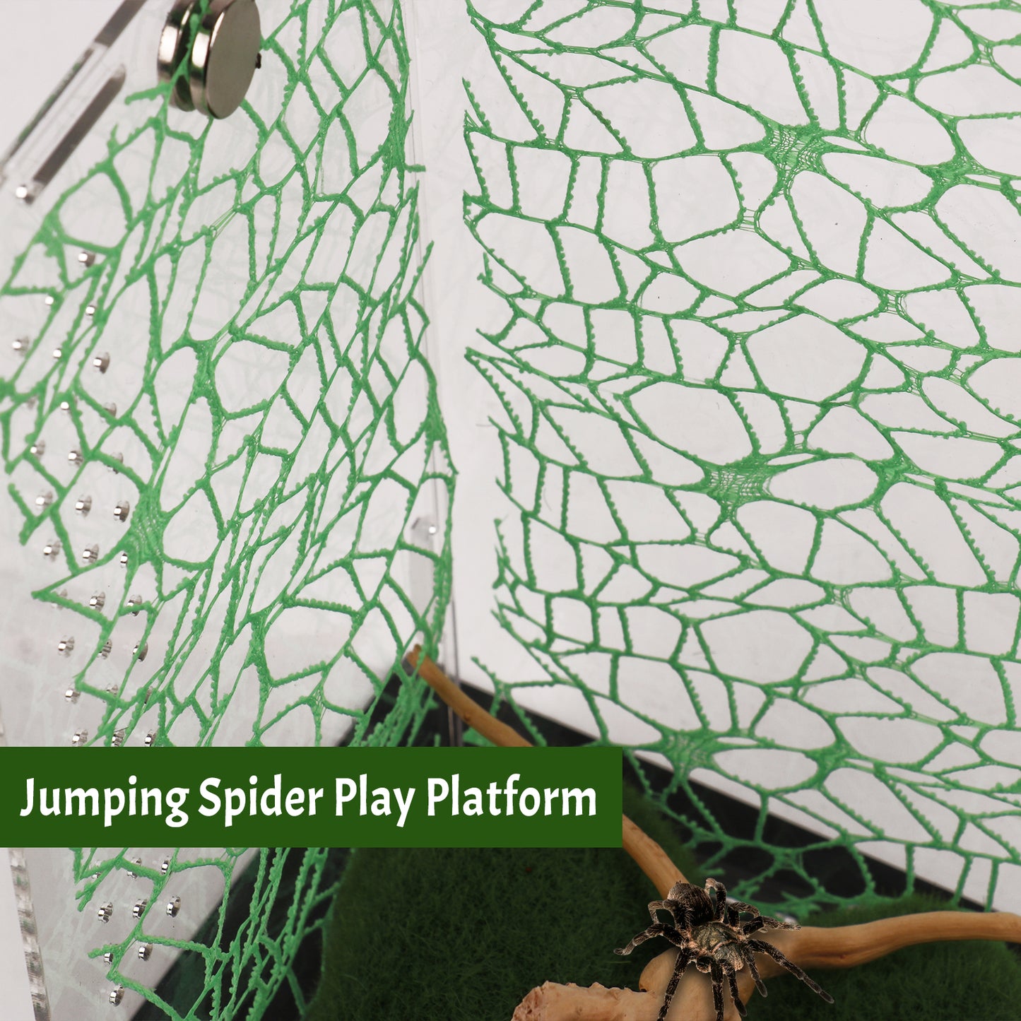 ZALALOVA 7 Pcs Jumping Spider Hide Accessories Set, Spiders Hideout Climbing Platform, Natural Cotton Rope Bridge Swings with Magnets for Small Reptile Enclosure Decorations