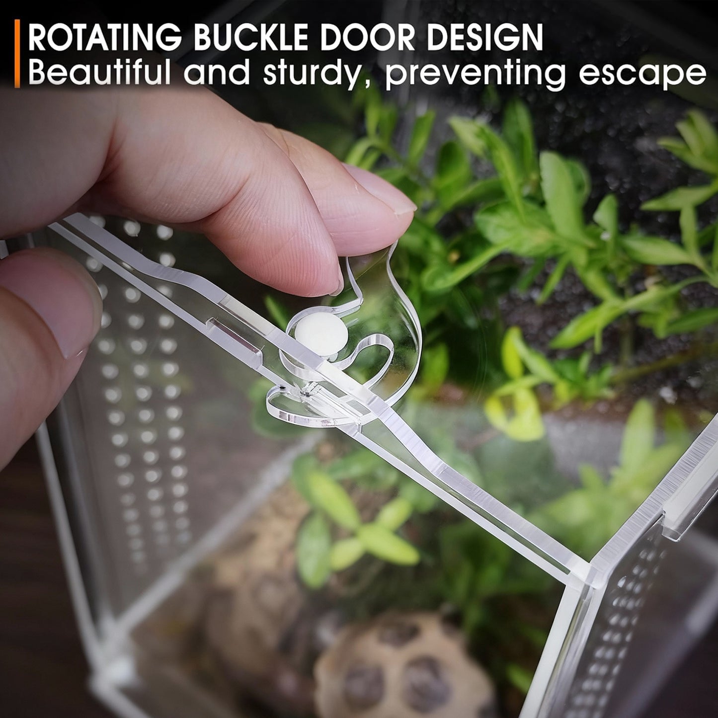 ZALALOVA Acrylic Jumping Spider Enclosure - Insect Terrarium for Spiders, Reptiles Habitat for Praying Mantis, Tarantula, Snail, Hermit Crab, Frog