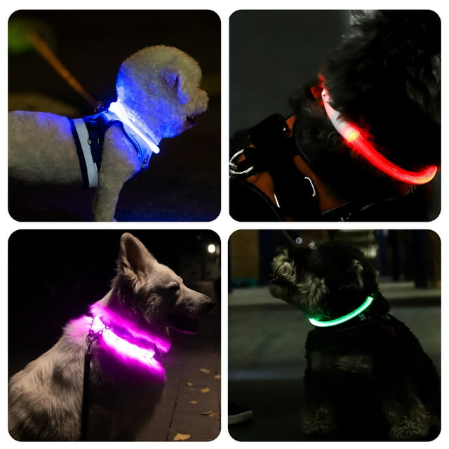 ZALALOVA 2 Pack LED Dog Collar Light up Dog Collars USB Rechargeable TPU Glow Safety Basic Dog Collars for Large Medium Small Dogs (Blue&Green)